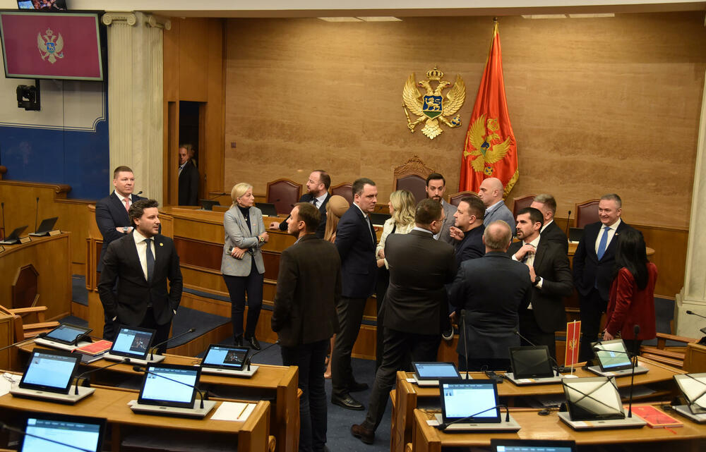 Brojne prepreke u sopstvenim redovima: dio opozicije u državnom parlamentu, Foto: Boris Pejović