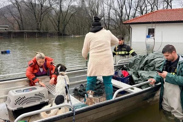 Velika šteta za privatni azil od poplava, spašene sve životinje