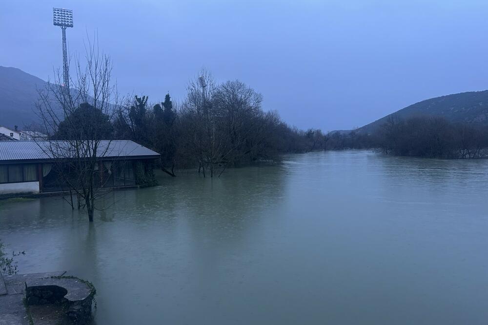 Foto: Jelena Jovanović