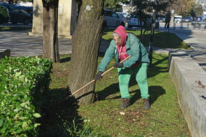 Svi vide uređen travnjak, malo ko umorne ruke: Ekipa "Vijesti"...