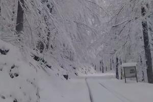 Nacionalni park Biogradska gora zatvoren za posjete