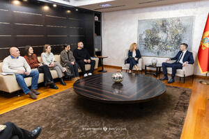 Spajić: Stručnost i iskustvo NVO sektora će imati važnu ulogu na...