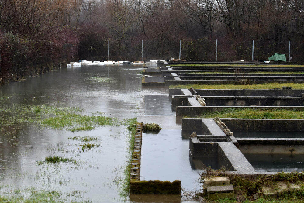 Plantaže ribnjak, pecaroši Mareza