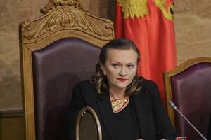 Drobnjak: Nasilje ne prijavljuju zbog nepovjerenja u institucije i...