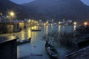 Služba zaštite NP Skadarsko jezero će pružiti pomoć ugroženim...