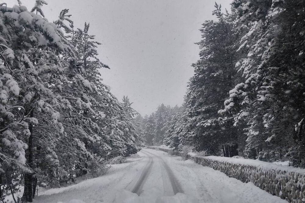 Foto: Jelena Jovanović