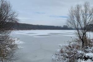 Kakve posljedice bi imala izgradnja luke kod bare Reve nadomak...