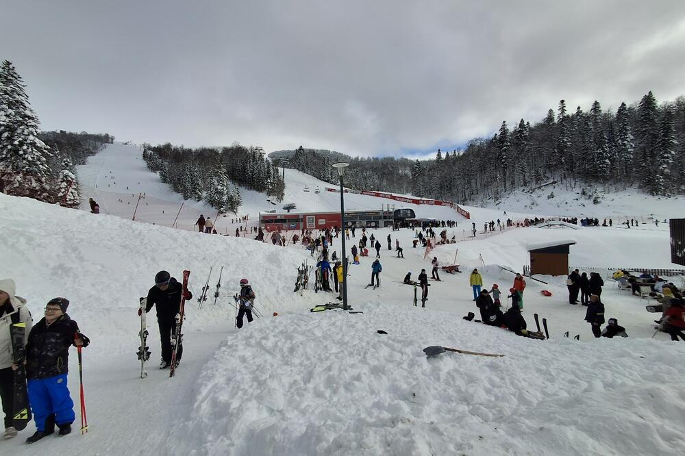 Ilustracija, Foto: Dragana Šćepanović