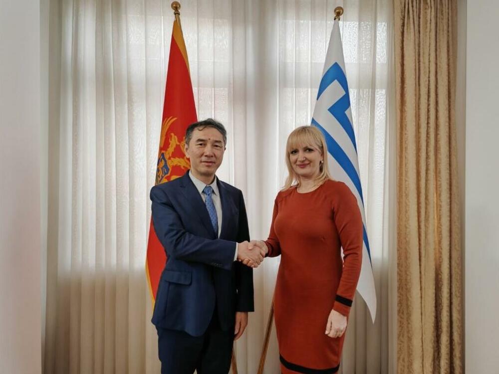 Jelena Borovinić Bojović