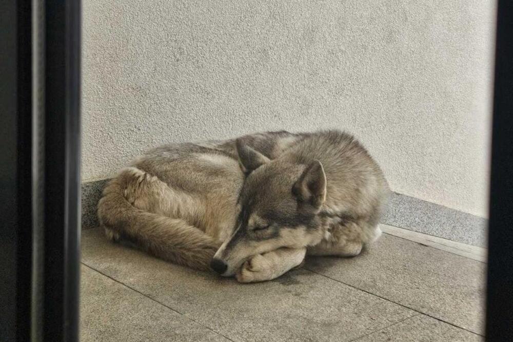 Foto: Privatna arhiva