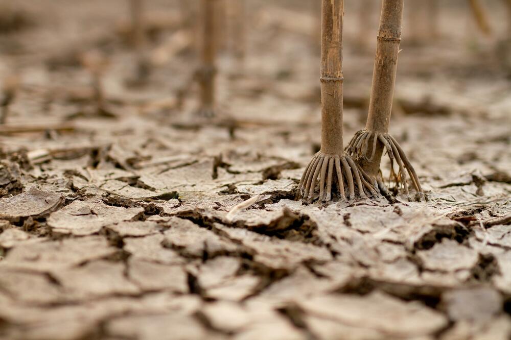 Ilustracija, Foto: Shutterstock