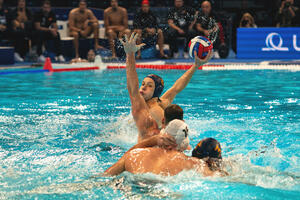 Vučković: Ovakav pad nam se ne dešava prvi put