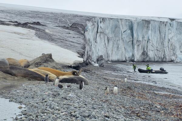 Kotor'dan bilim insanları Antarktika sularında araştırma yapıyor: Mačič ve...