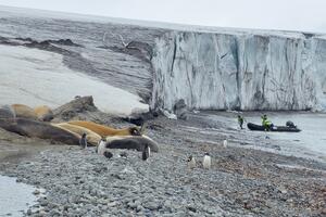 Naučnici z Kotora istražuju u antarktičkim vodama: Mačič i...