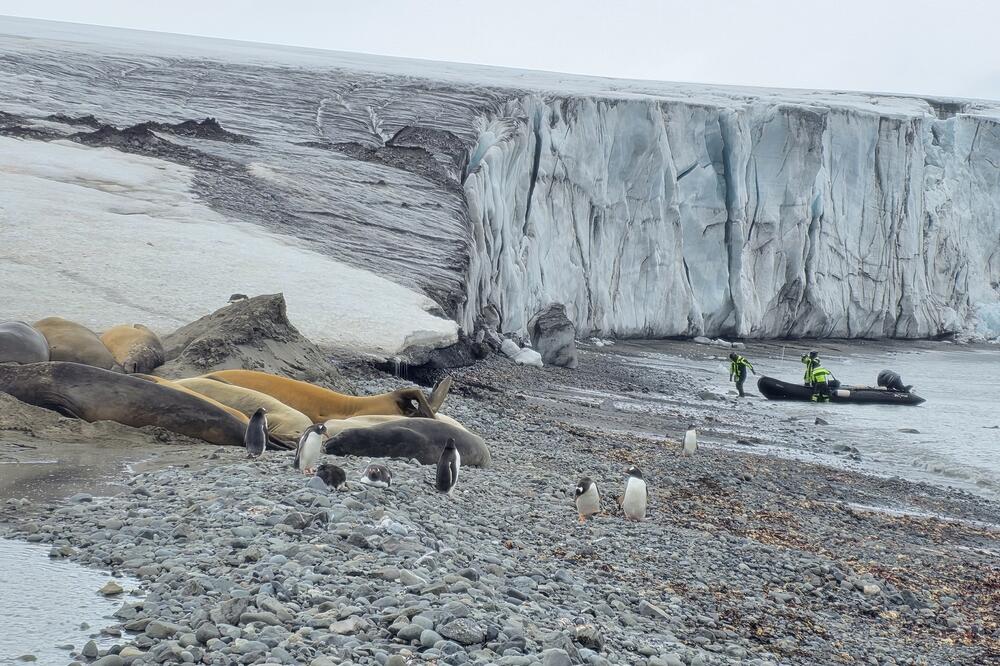 Detalj sa ostrva Južnošetlandskog arhipelaga, Foto: Privatna arhiva
