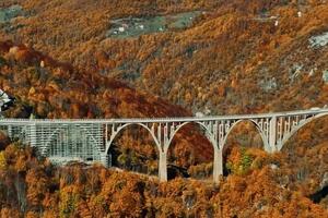 Uprava za saobraćaj: Izgrađeno i rekonstruisano oko 90 kilometara...