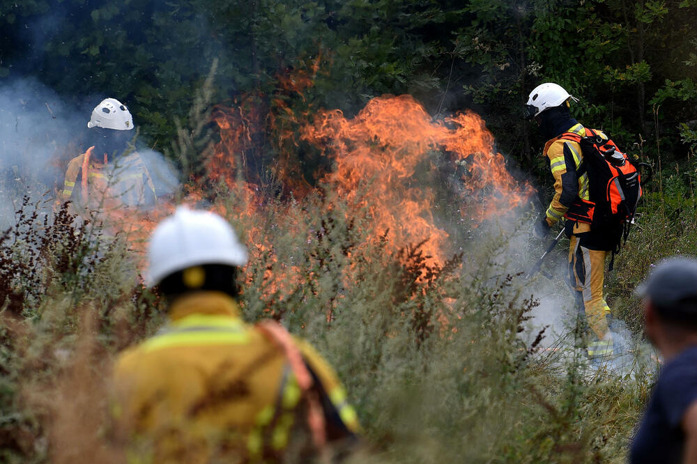 Požar u Piperima u avgustu prošle godine, Foto: BORIS PEJOVIC