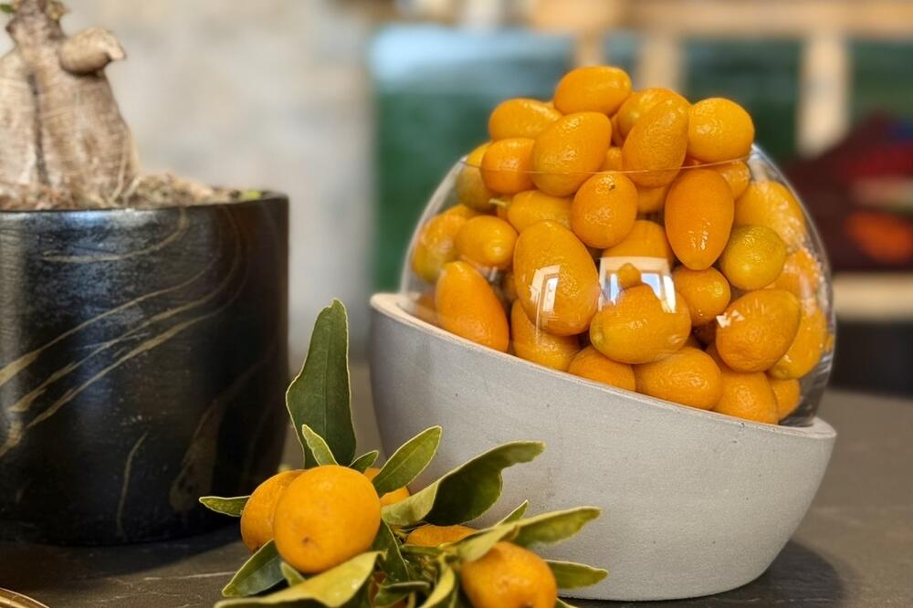 Foto: Privatna arhiva