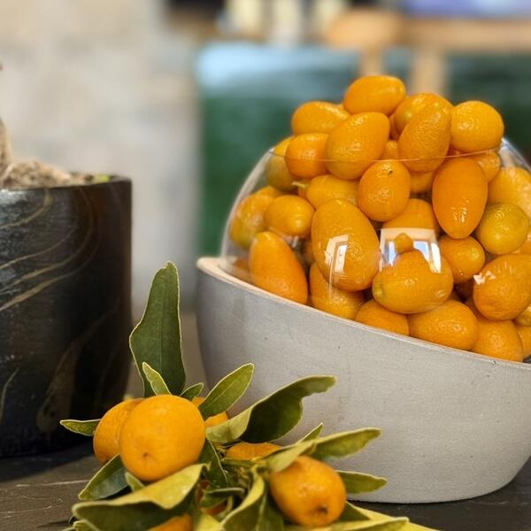 &bdquo;Zlatna narandža&ldquo; koja se jede cijela, čuva zdravlje i daruje...