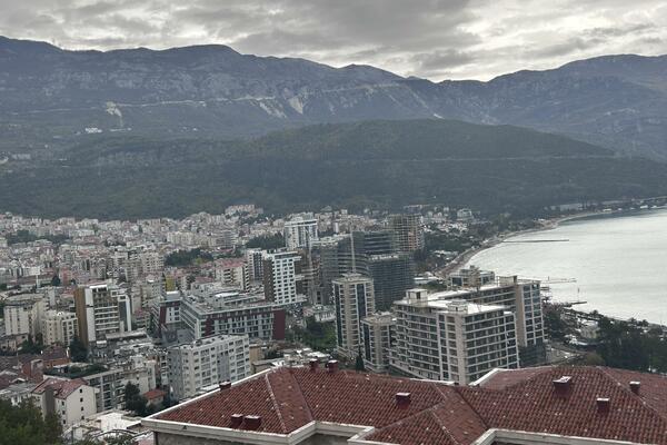 A profitable year for taxes, a worse year for tourism: Record collection...