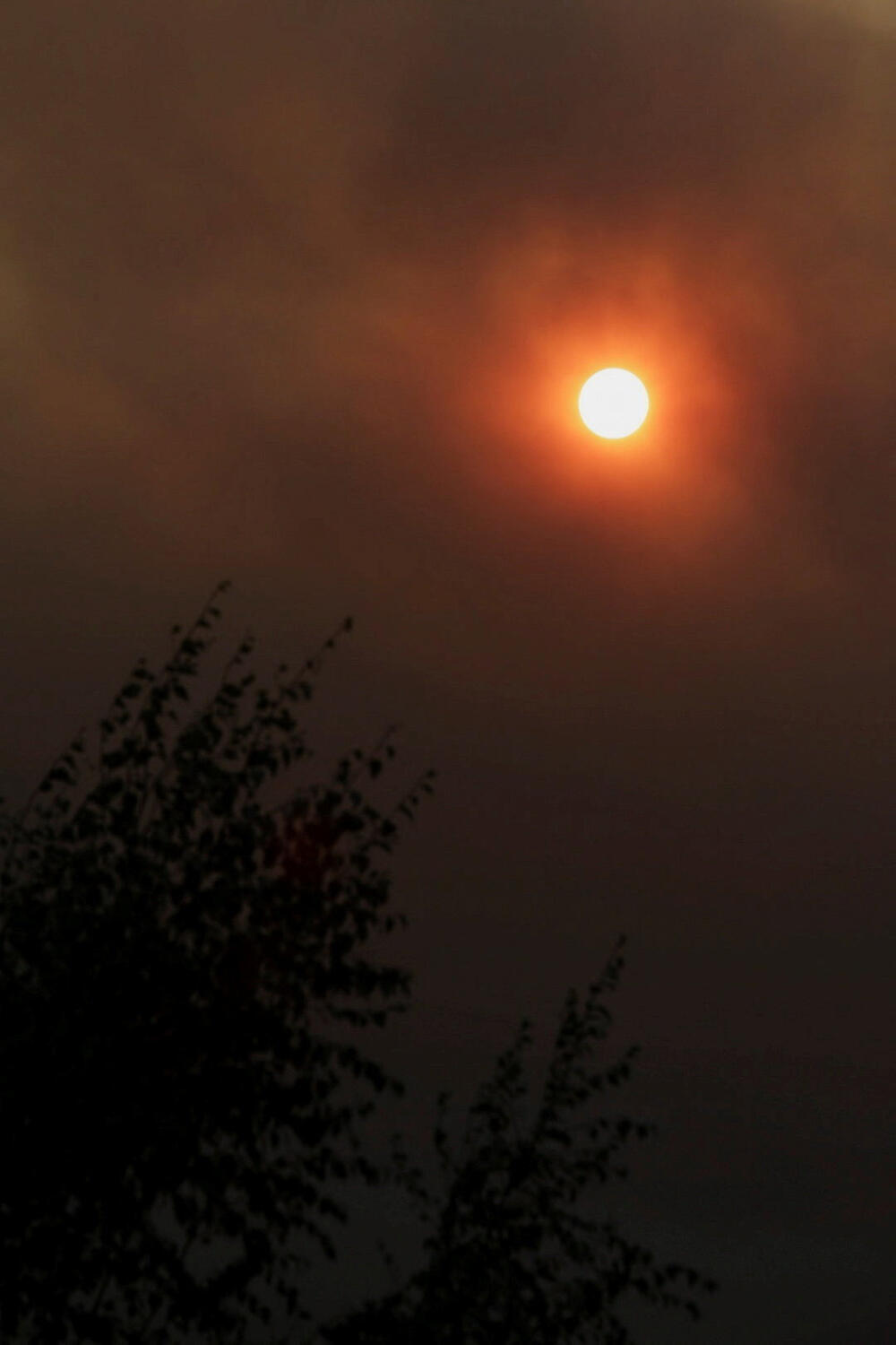 <p>"S obzirom na ozbiljne šumske požare koji su i dalje u toku, odlučio sam da proglasim stanje katastrofe u regionima Njuble i Bio Bio. Svi resursi su na raspolaganju", napisao je predsjednik Čilea Gabrijel Borić u objavi na mreži Iks (X)</p>