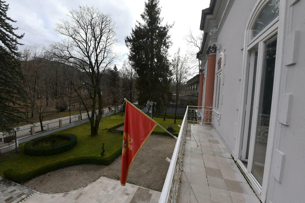 <p>Plavi dvorac izgrađen je 1895. za potrebe prestolonasljednika Danila Petrovića Njegoša, koji nije dočekao dolazak na tron</p>  <p>U rezidenciji se nalazili gimnazija i muzej, a tokom 90-ih je održavano &ldquo;Cetinjsko bijenale&rdquo;</p>  <p>Zgrada nije u dobrom stanju, pogotovo krov, fasada, tapete...</p>