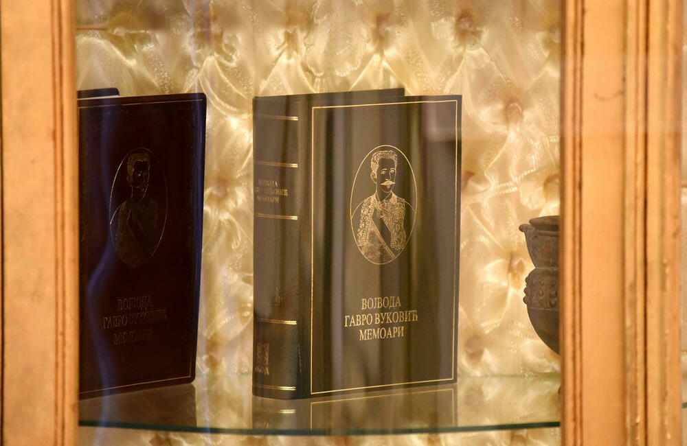 <p>Plavi dvorac izgrađen je 1895. za potrebe prestolonasljednika Danila Petrovića Njegoša, koji nije dočekao dolazak na tron</p>  <p>U rezidenciji se nalazili gimnazija i muzej, a tokom 90-ih je održavano &ldquo;Cetinjsko bijenale&rdquo;</p>  <p>Zgrada nije u dobrom stanju, pogotovo krov, fasada, tapete...</p>