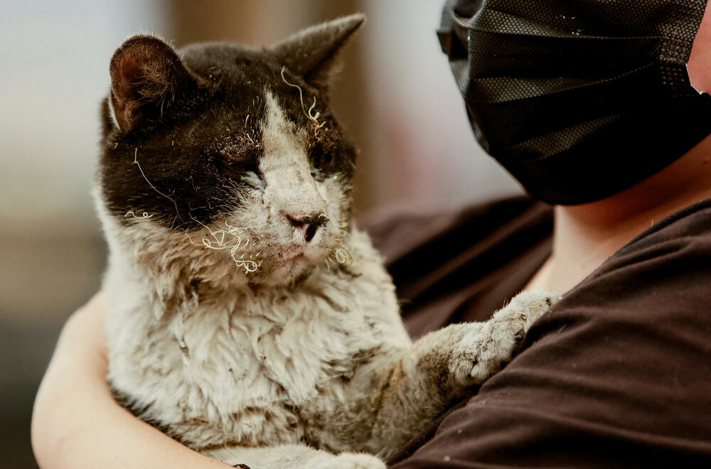 <p>Na konferenciji za novinare u teško pogođenom gradu Konsepsion u regiji Biobio, predsjednik Čile Gabrijel Borić je izrazio podršku i saučešće zbog žrtava, i upozorio da se očekuje da se broj nastradalih i uništenih domova poveća</p>