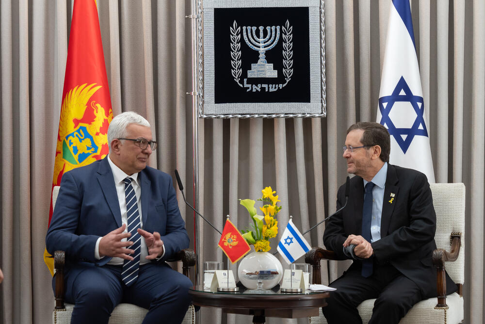 Sve češća saradnja sa Izraelom: Mandić i predsjednik te države Isak Hercog (ilustracija)