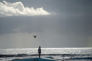 Australija: Četiri napada ajkula u tri dana, više plaža privremeno...