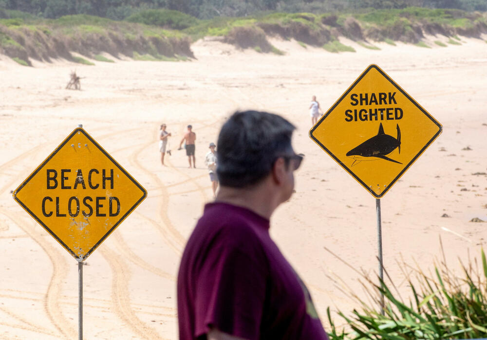 <p>Napadi su uslijedili nakon višednevnih obilnih kiša koje su zamutile plićake</p>
