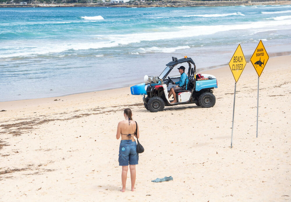 <p>Napadi su uslijedili nakon višednevnih obilnih kiša koje su zamutile plićake</p>