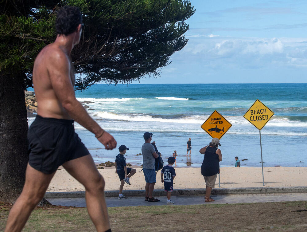 <p>Napadi su uslijedili nakon višednevnih obilnih kiša koje su zamutile plićake</p>