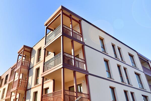 The deadline for submitting registration of illegal structures is February 14th...