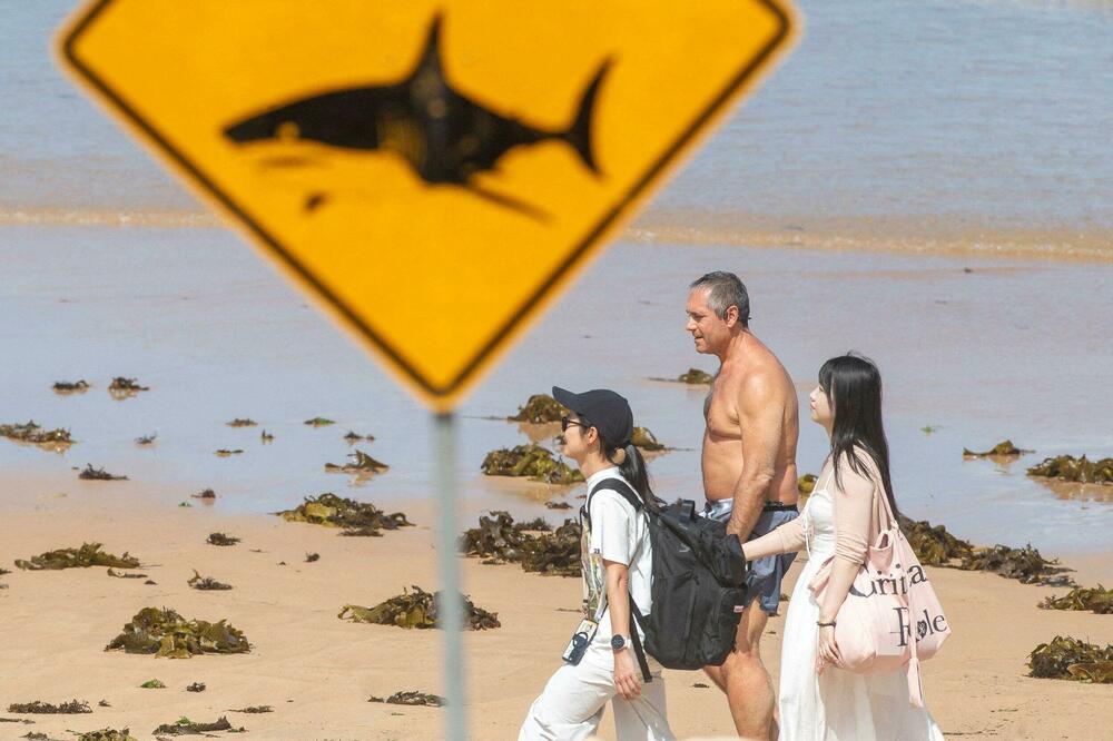 Foto: REUTERS/Jeremy Piper