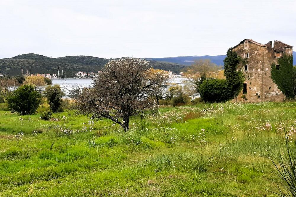 Foto: Opština Tivat