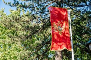 Paradoks jedne politike: retorika pomirenja i praksa podjela