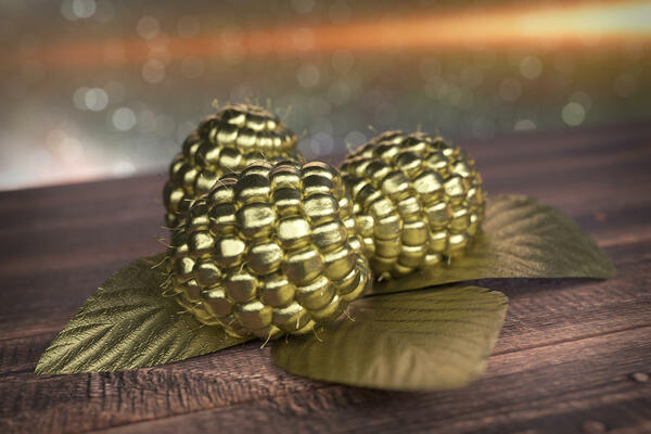 Оголошено номінантів на премію «Золота малина»