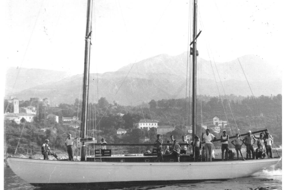 Delfinov krstaš, Foto: JK Delfin