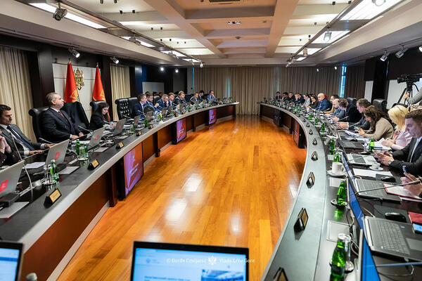 Zeković, Acting Director of the Media Directorate at the Ministry...