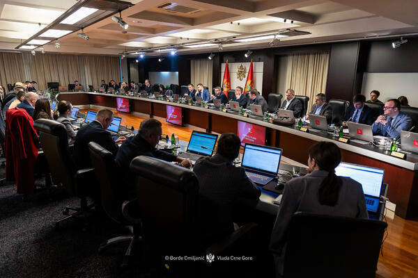 The government provided a guarantee for the CGES loan