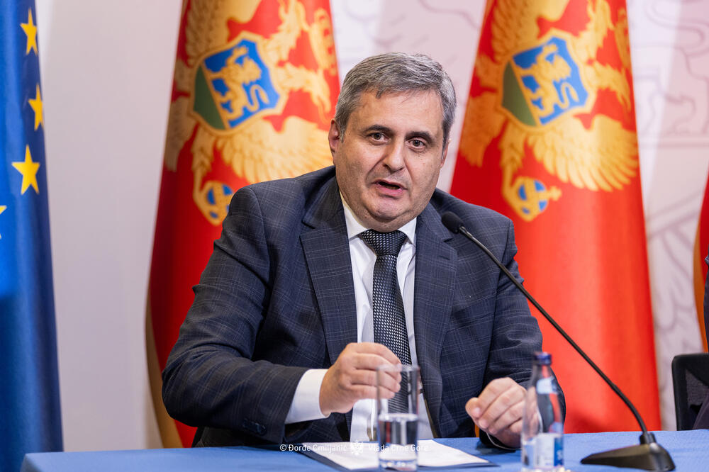 Promijenili mišljenje o zakonu nakon pola godine: Radunović, Foto: Đorđe Cmiljanić