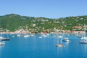 Kako je Danska prodala Djevičanska Ostrva Americi i ima li to veze...