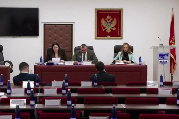 Danilovgrad: Pavićević i Kalezić više nisu u klubu DNP-a,...