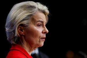 Fon der Lajen najavila veća ulaganja u Grenland i bezbjednost...