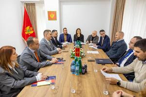 Šahmanović: Fokus na jačanju institucija energetskog sektora i...