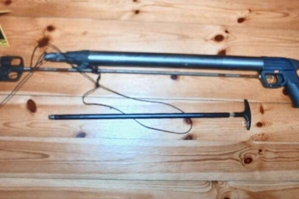 Danilovgradska policija oduzela pištolj, vazdušnu pušku i podvodnu...