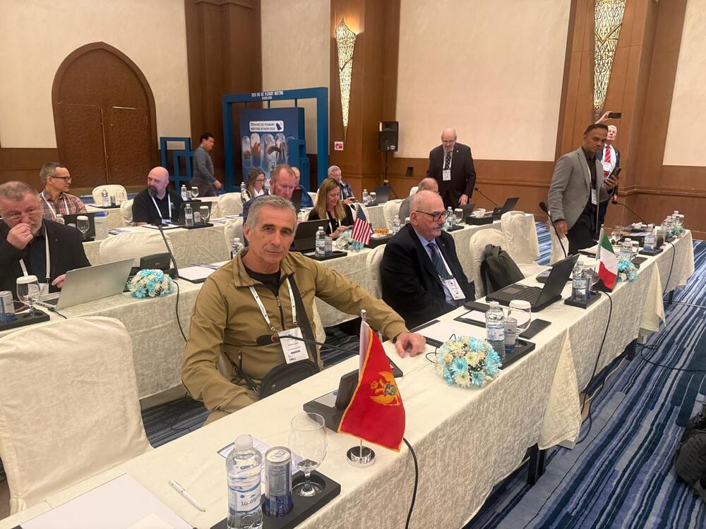 Konferencija Međunarodnog padobranskog komiteta Svjetske vazduhoplovne federacije