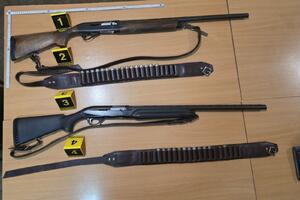 Htio da usmrti napuštenog psa, pa ranio brata?