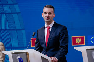 Vlada: Veliki broj članica pozvao na formiranje Radne grupe za...